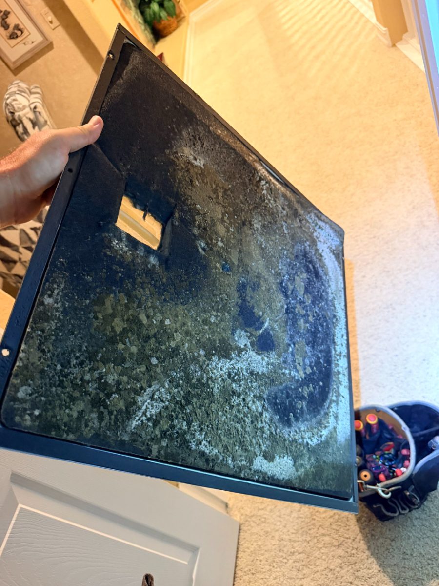 Biogrowth buildup on the inside of an air handler access door, found by Extreme Temp during an AC maintenance visit in Southwest Florida
