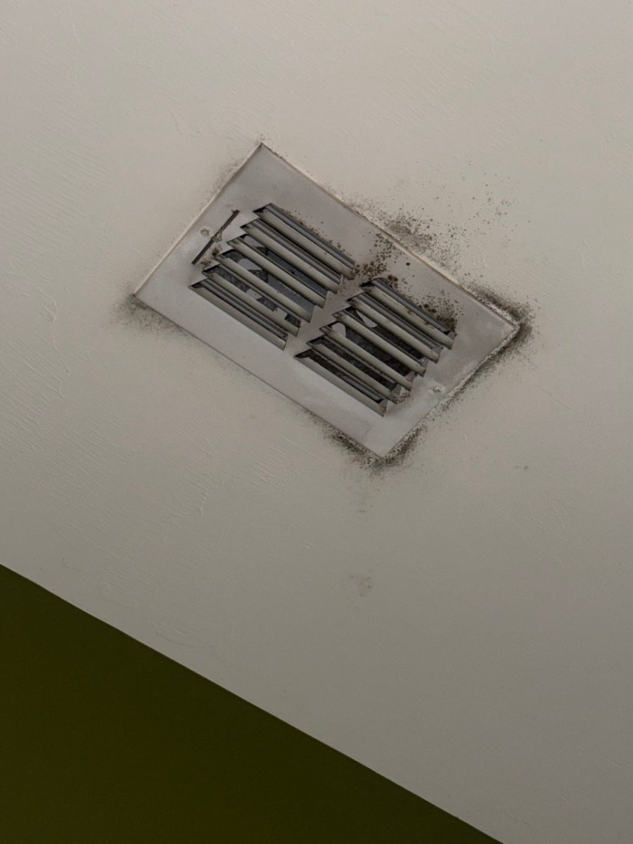 Biogrowth forming around a ceiling supply vent in a seasonal Southwest Florida home after the AC was broken for months