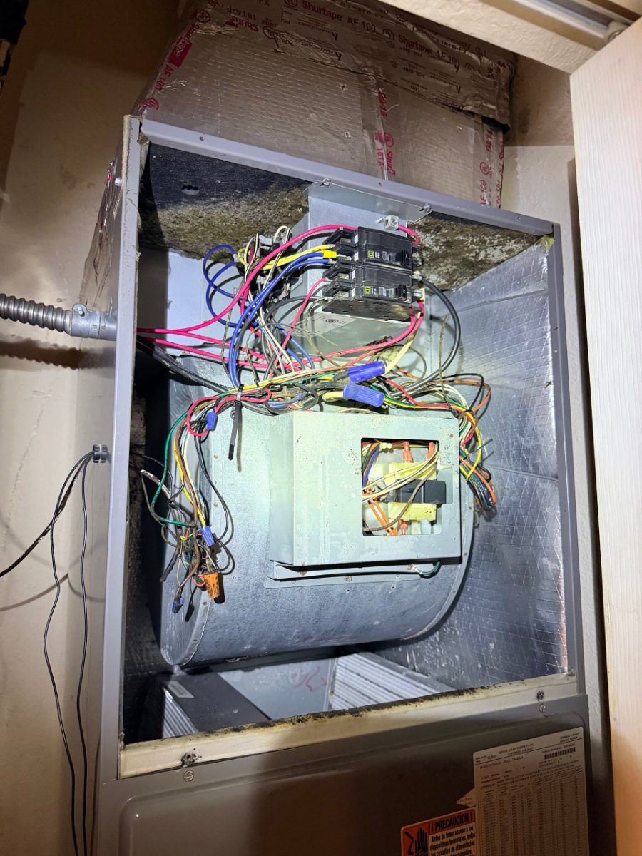 Biogrowth buildup inside an air handler blower compartment, a common indoor air quality problem in humid Southwest Florida homes