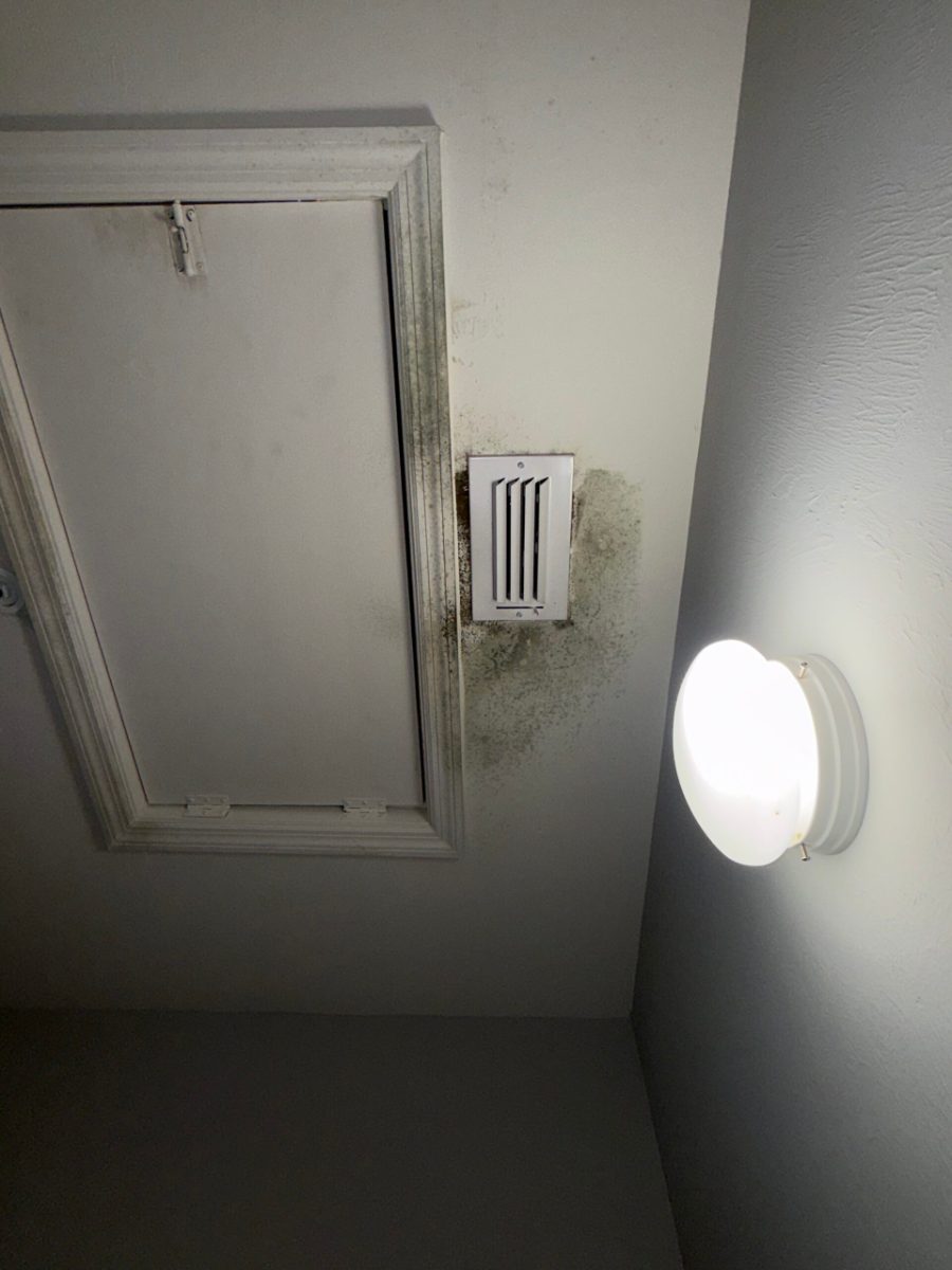 Biogrowth around a wall vent and attic access door in a seasonal Southwest Florida home where the AC failed while the owners were away