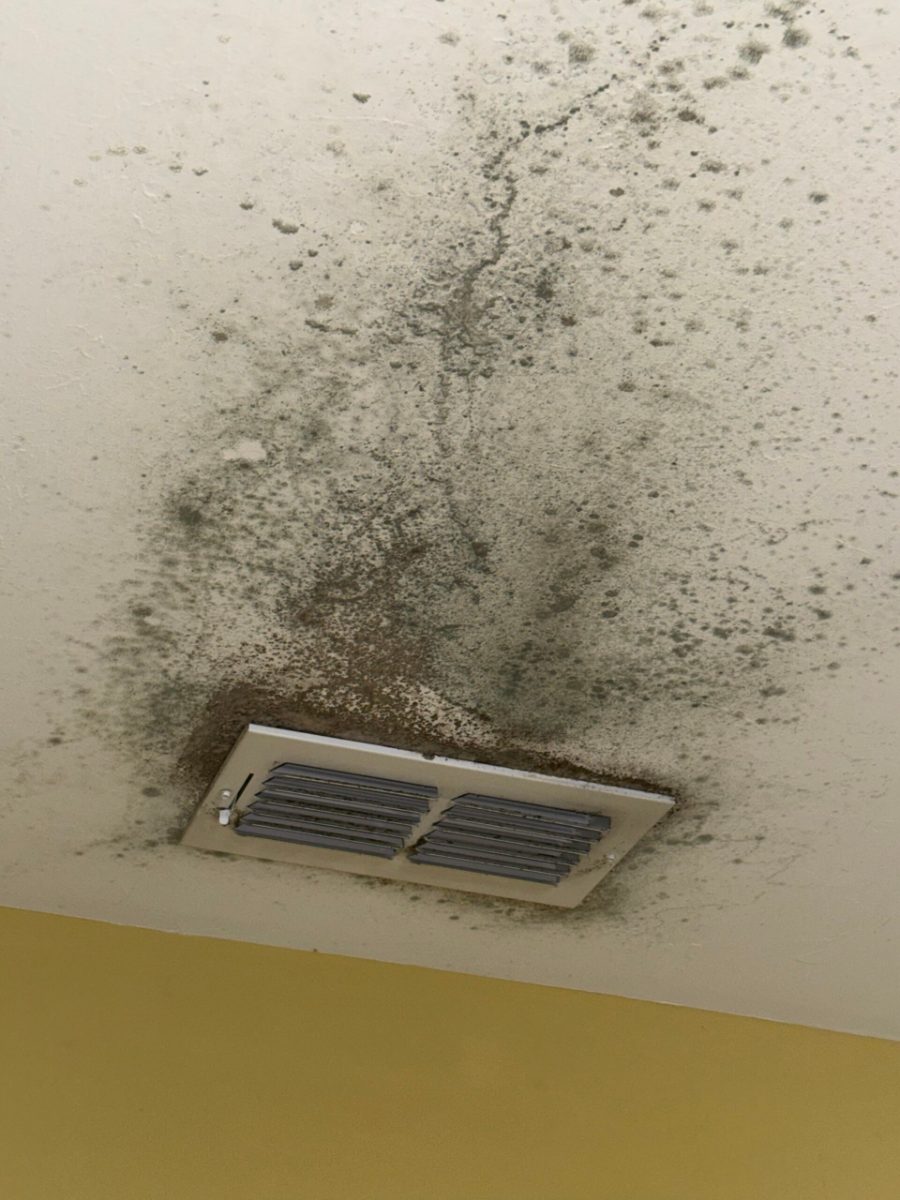 Heavy biogrowth spreading across a ceiling around a supply vent after Florida humidity built up in a seasonal home with a broken AC